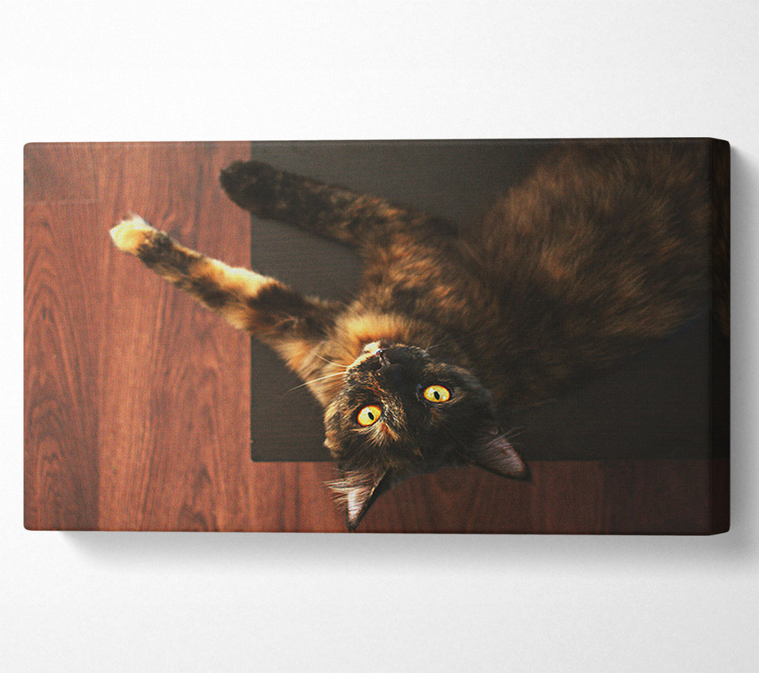  A Canvas Print of Golden Eyes And Brown Fur Canvas Print