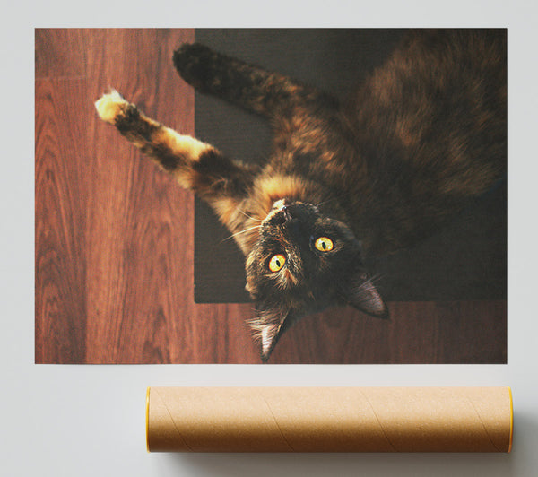 Golden Eyes And Brown Fur Giclee Print