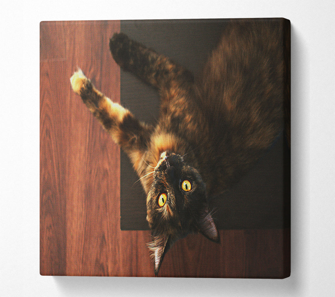  A Canvas Print of Golden Eyes And Brown Fur Canvas Print