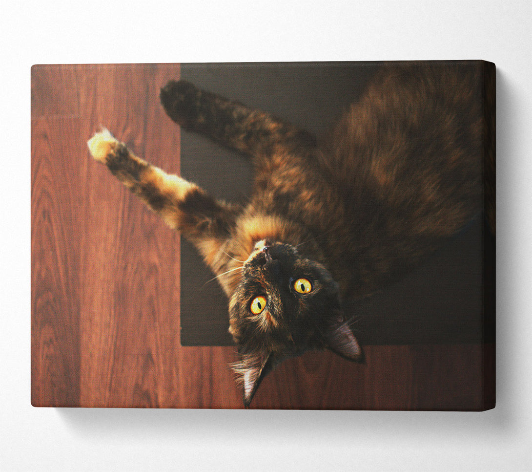  A Canvas Print of Golden Eyes And Brown Fur Canvas Print