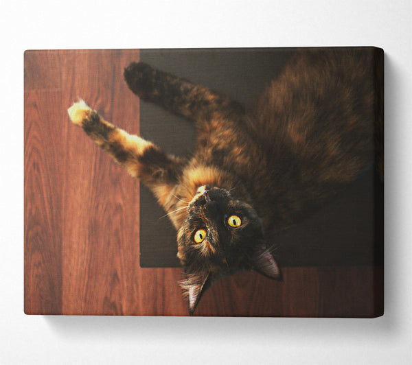  A Canvas Print of Golden Eyes And Brown Fur Canvas Print