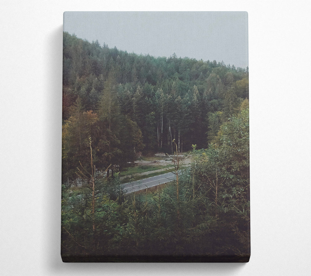  A Canvas Print of Green Road Through Trees Canvas Wall Art