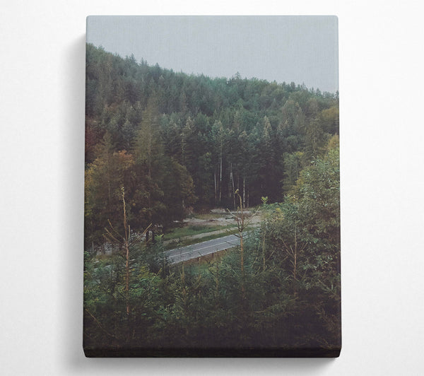  A Canvas Print of Green Road Through Trees Canvas Wall Art