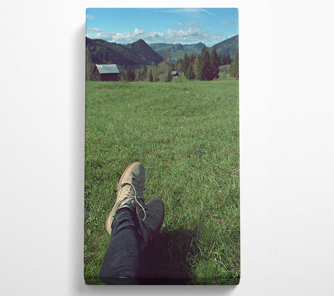  A Canvas Print of Green Grass And Suede Shoes Canvas Print