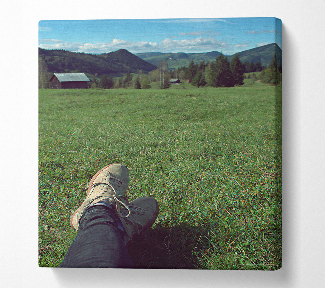  A Canvas Print of Green Grass And Suede Shoes Canvas Print