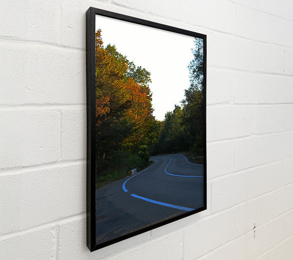 Autumn Road'S Curve