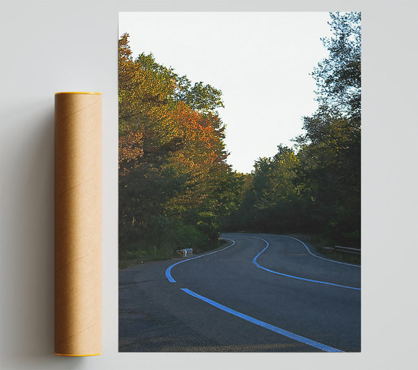 Autumn Road'S Curve Giclee Print
