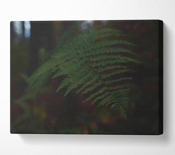  A Canvas Print of Emerald Fern Whisper Canvas Wall Art