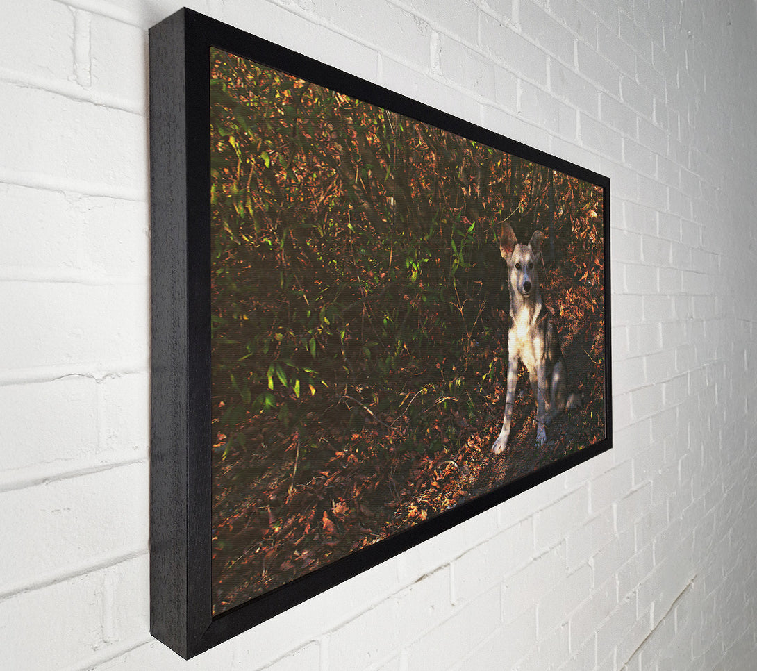  A Canvas Print of Golden Brown Pup In Woods Canvas Print