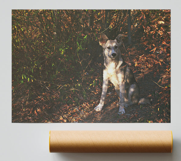 Golden Brown Pup In Woods Giclee Print