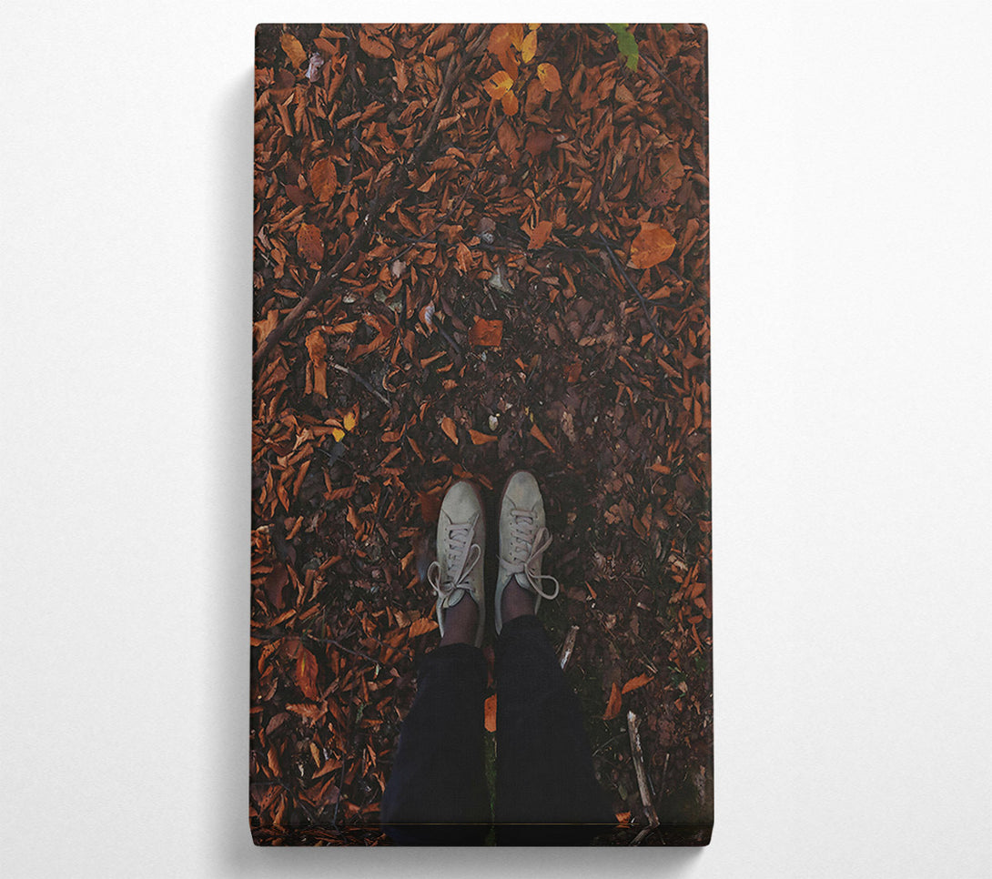  A Canvas Print of Autumn Brown Footsteps Canvas Wall Art