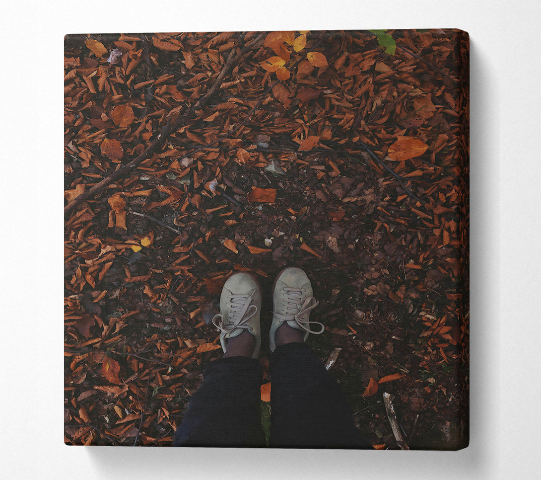 A Canvas Print of Autumn Brown Footsteps Canvas Wall Art