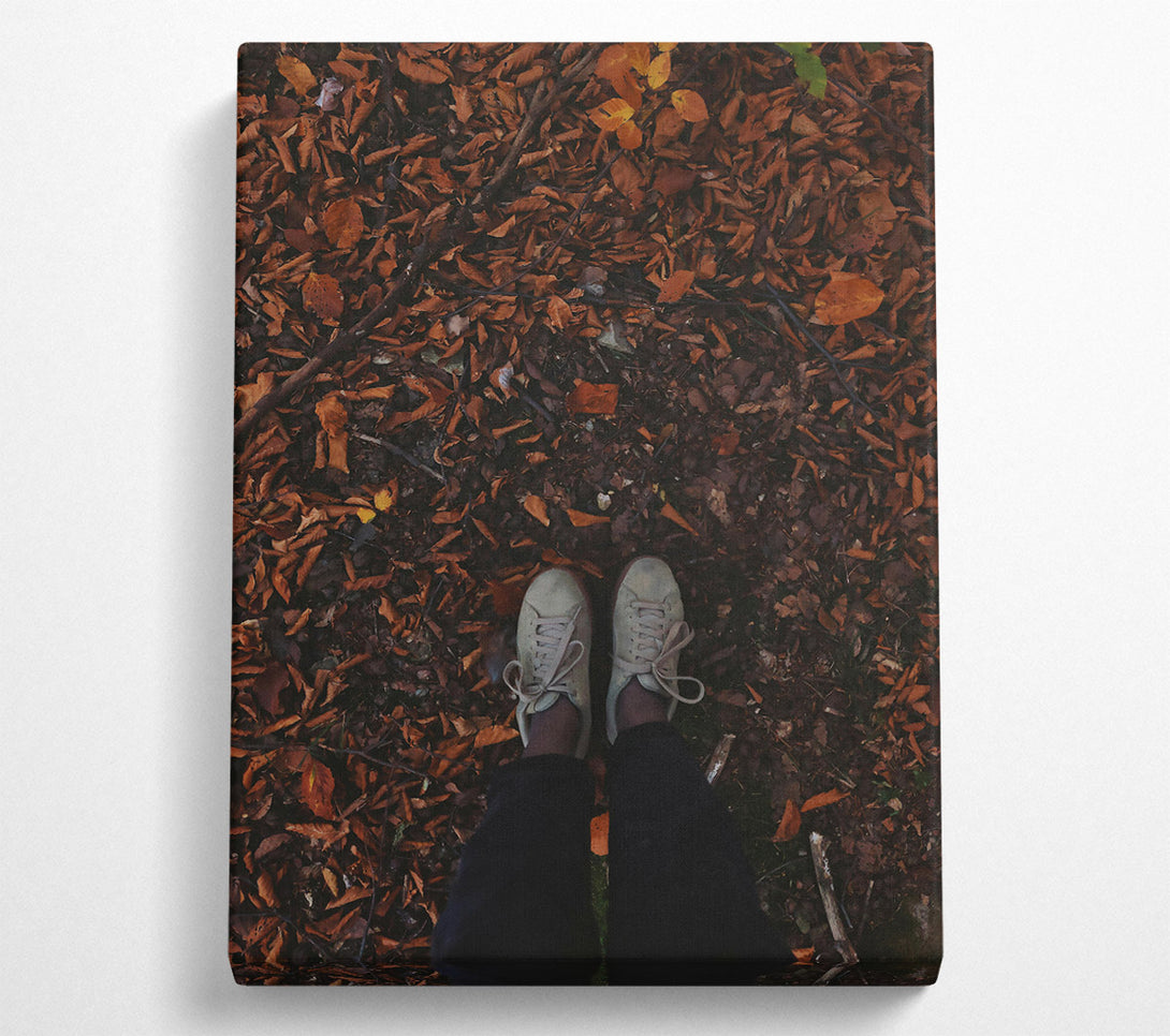  A Canvas Print of Autumn Brown Footsteps Canvas Wall Art