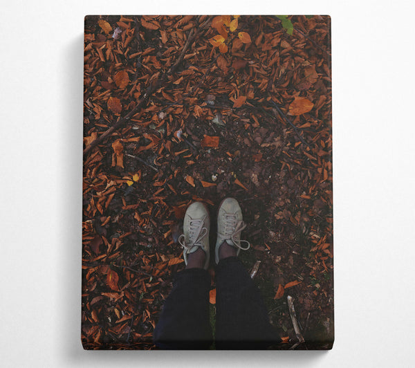 A Canvas Print of Autumn Brown Footsteps Canvas Wall Art