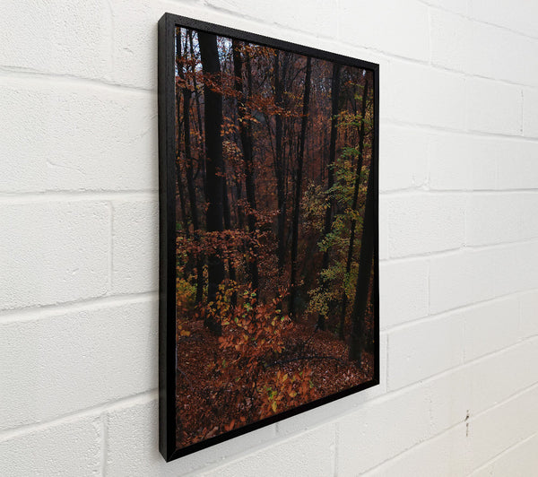 Autumn'S Dark Crimson Forest