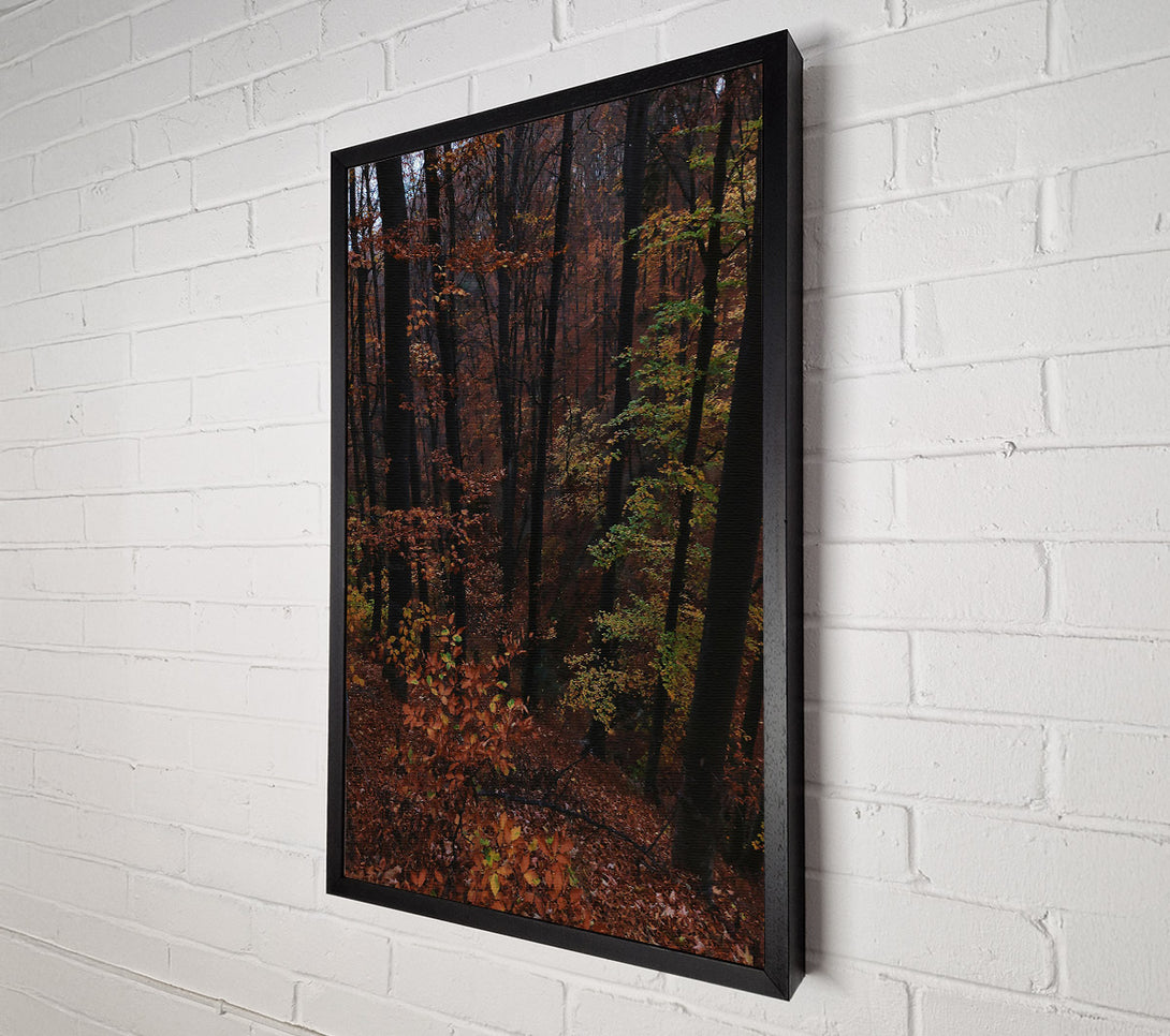  A Canvas Print of Autumn'S Dark Crimson Forest Canvas Art