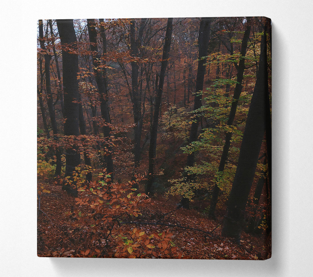  A Canvas Print of Autumn'S Dark Crimson Forest Canvas Art