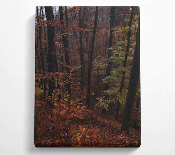  A Canvas Print of Autumn'S Dark Crimson Forest Canvas Art