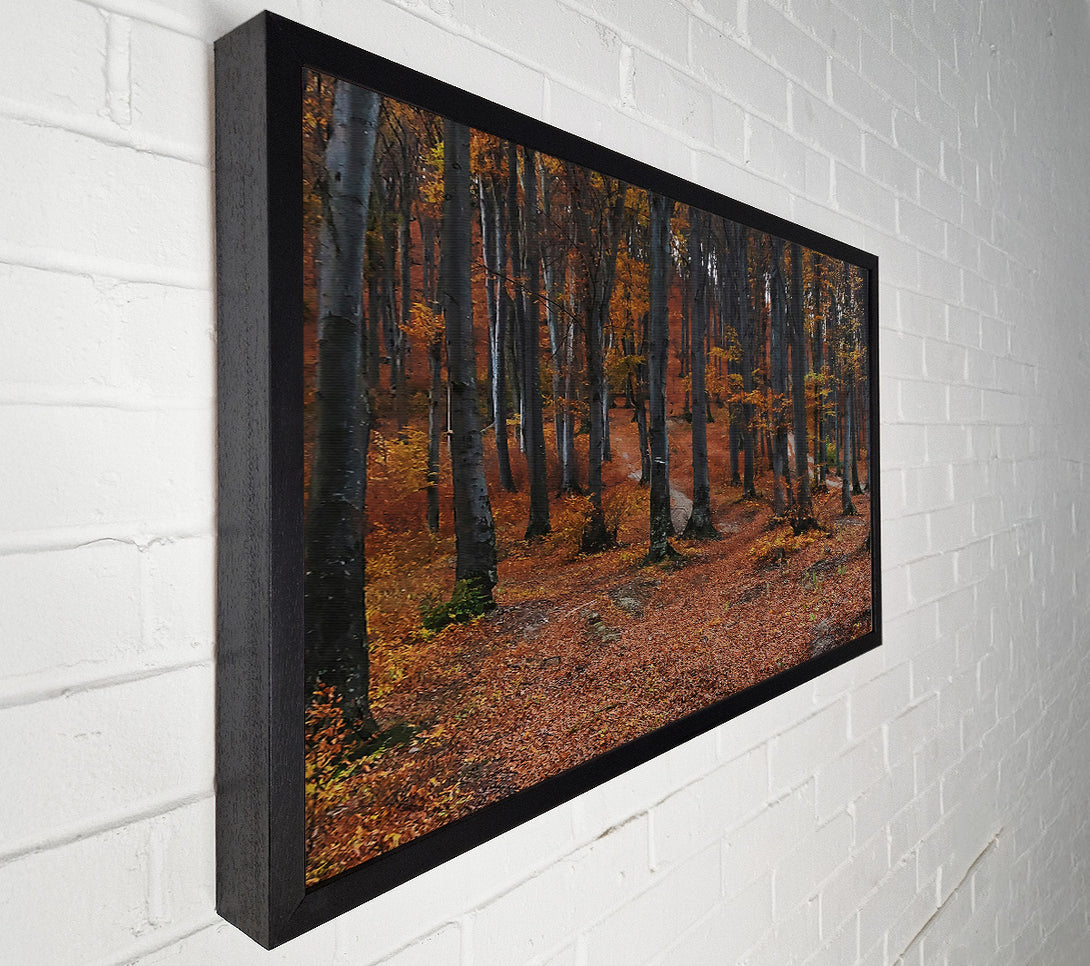  A Canvas Print of Autumn'S Brown Path Canvas Print