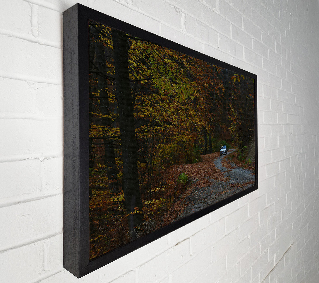  A Canvas Print of Golden Forest Driveway Canvas Print