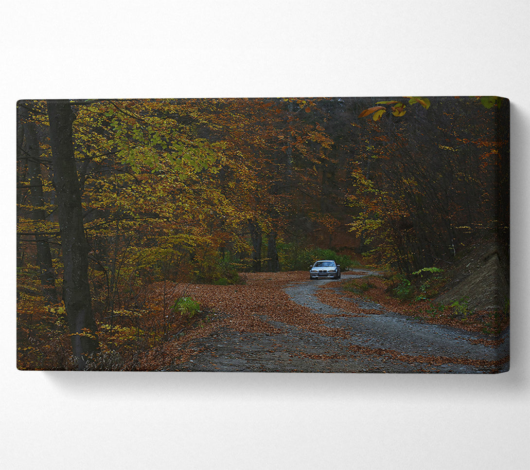  A Canvas Print of Golden Forest Driveway Canvas Print