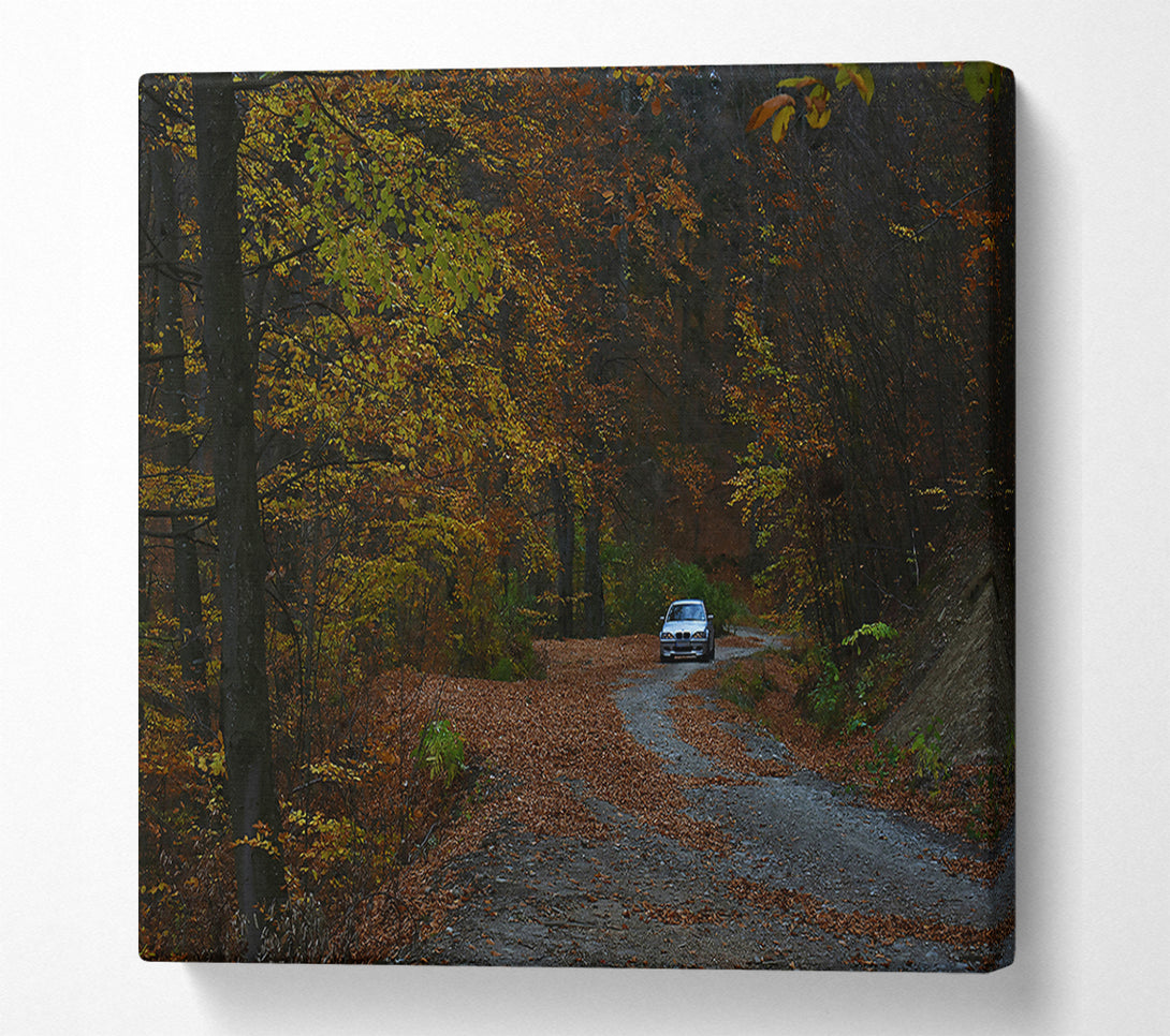  A Canvas Print of Golden Forest Driveway Canvas Print