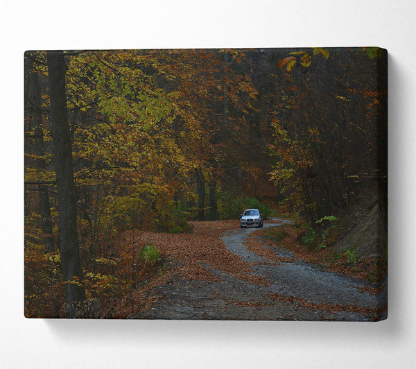  A Canvas Print of Golden Forest Driveway Canvas Print