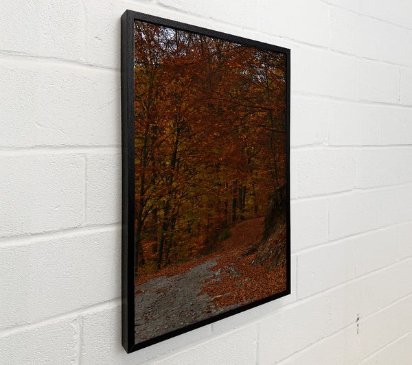 Autumn'S Orange Path