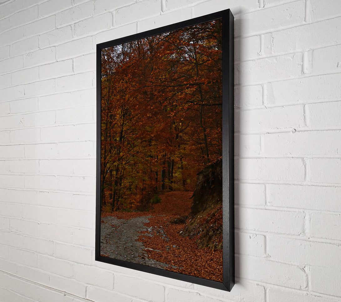  A Canvas Print of Autumn'S Orange Path Canvas Art