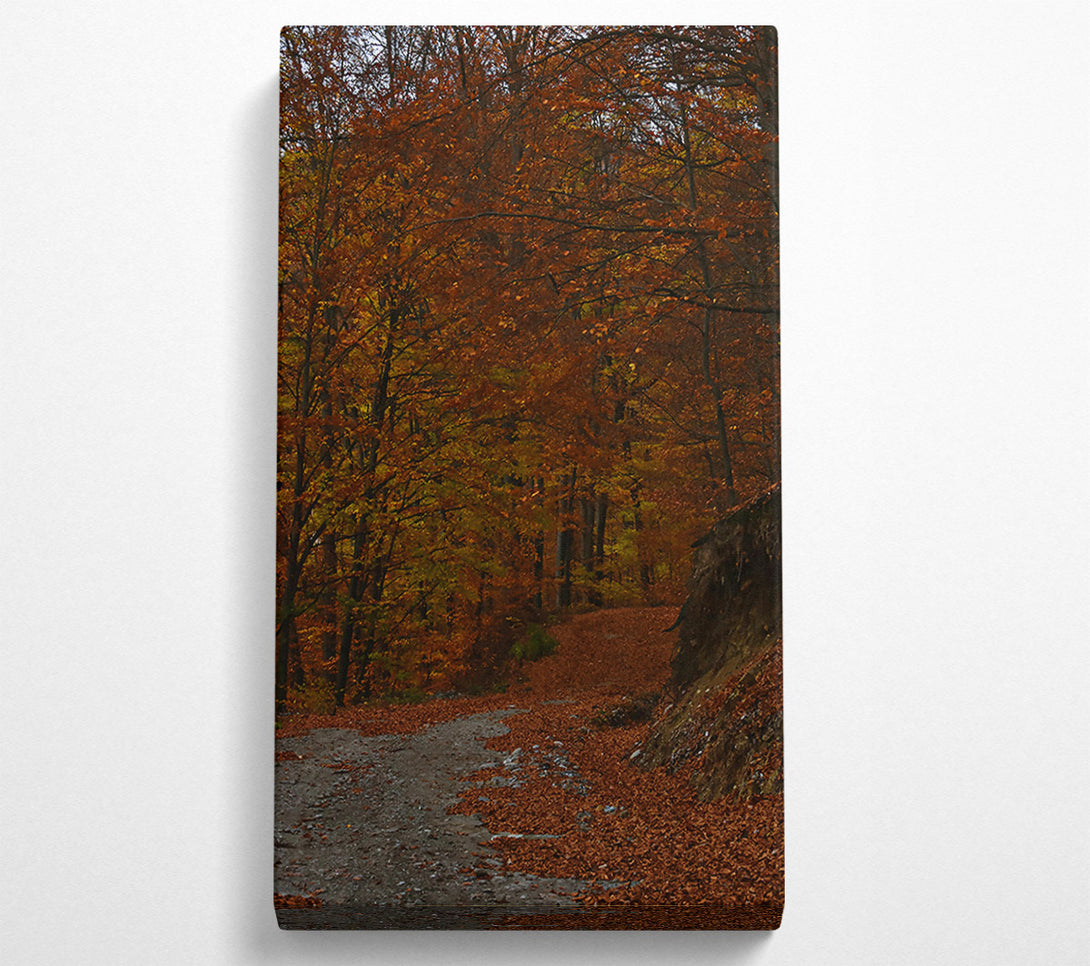  A Canvas Print of Autumn'S Orange Path Canvas Art
