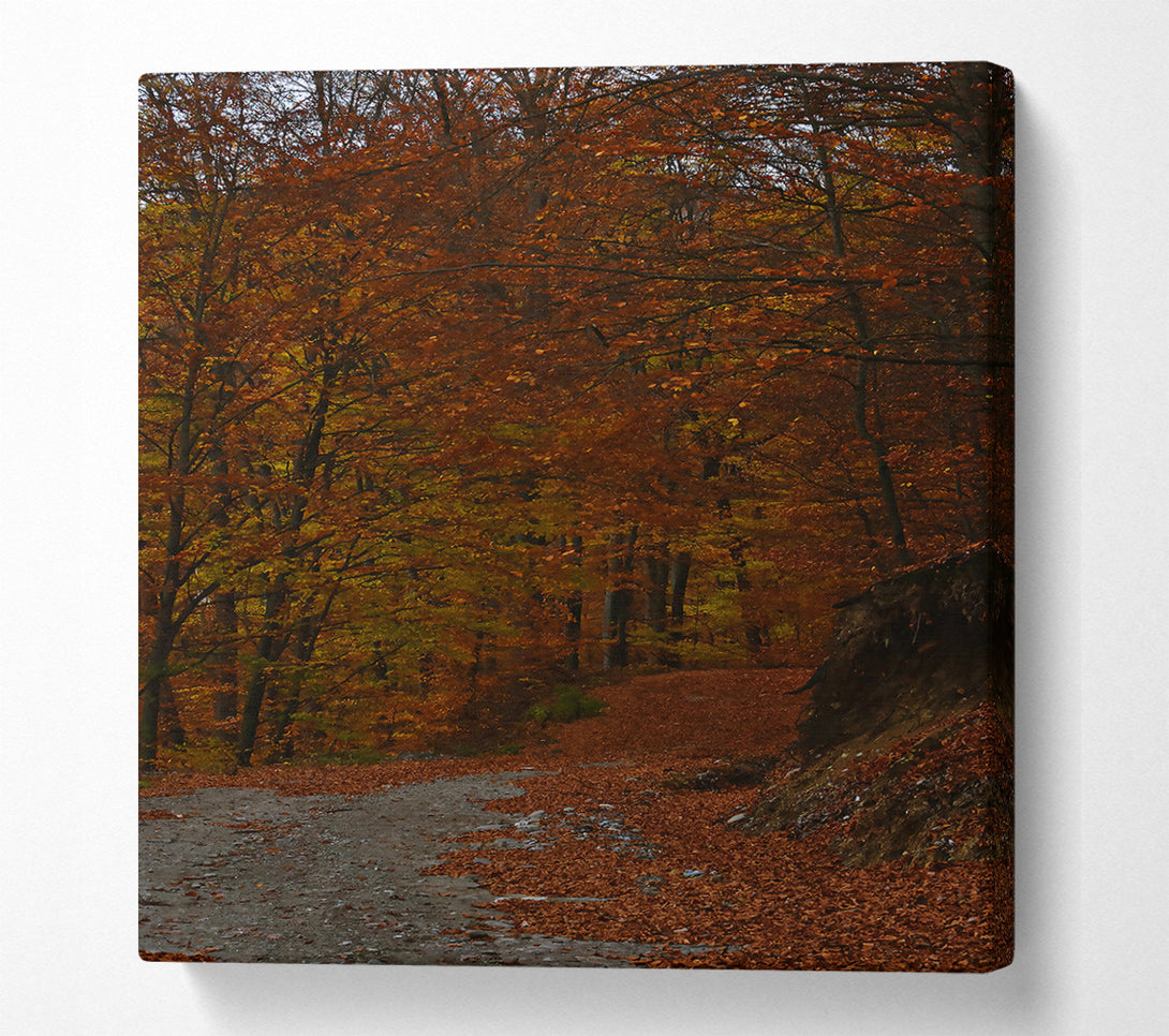  A Canvas Print of Autumn'S Orange Path Canvas Art