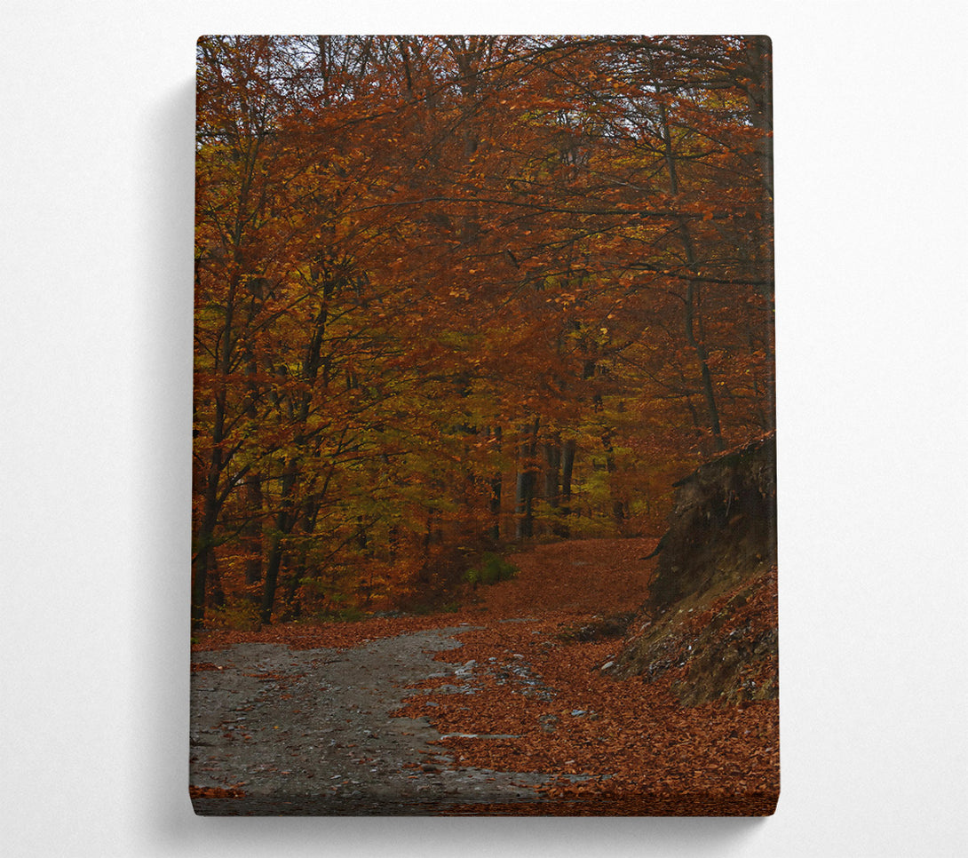  A Canvas Print of Autumn'S Orange Path Canvas Art