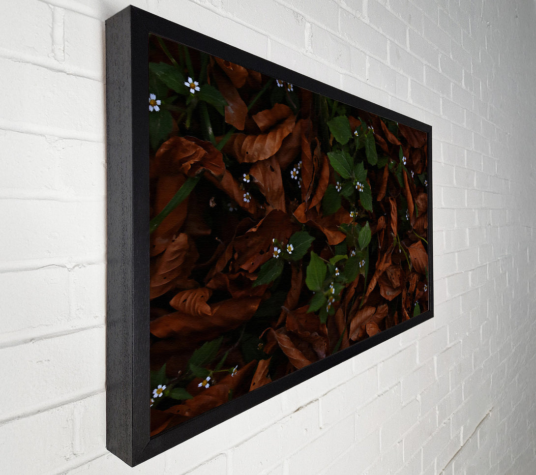  A Canvas Print of Brown Leaves And White Blooms. Canvas Art