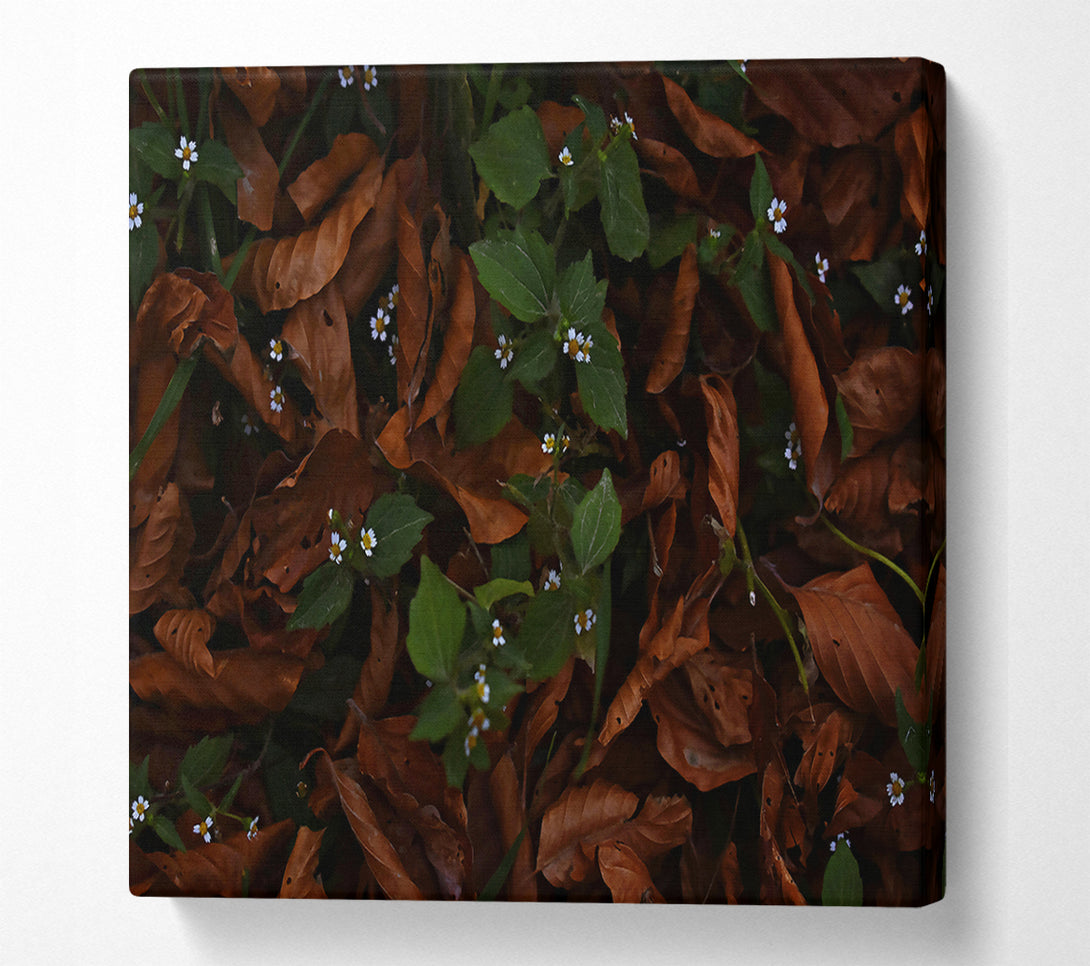  A Canvas Print of Brown Leaves And White Blooms. Canvas Art