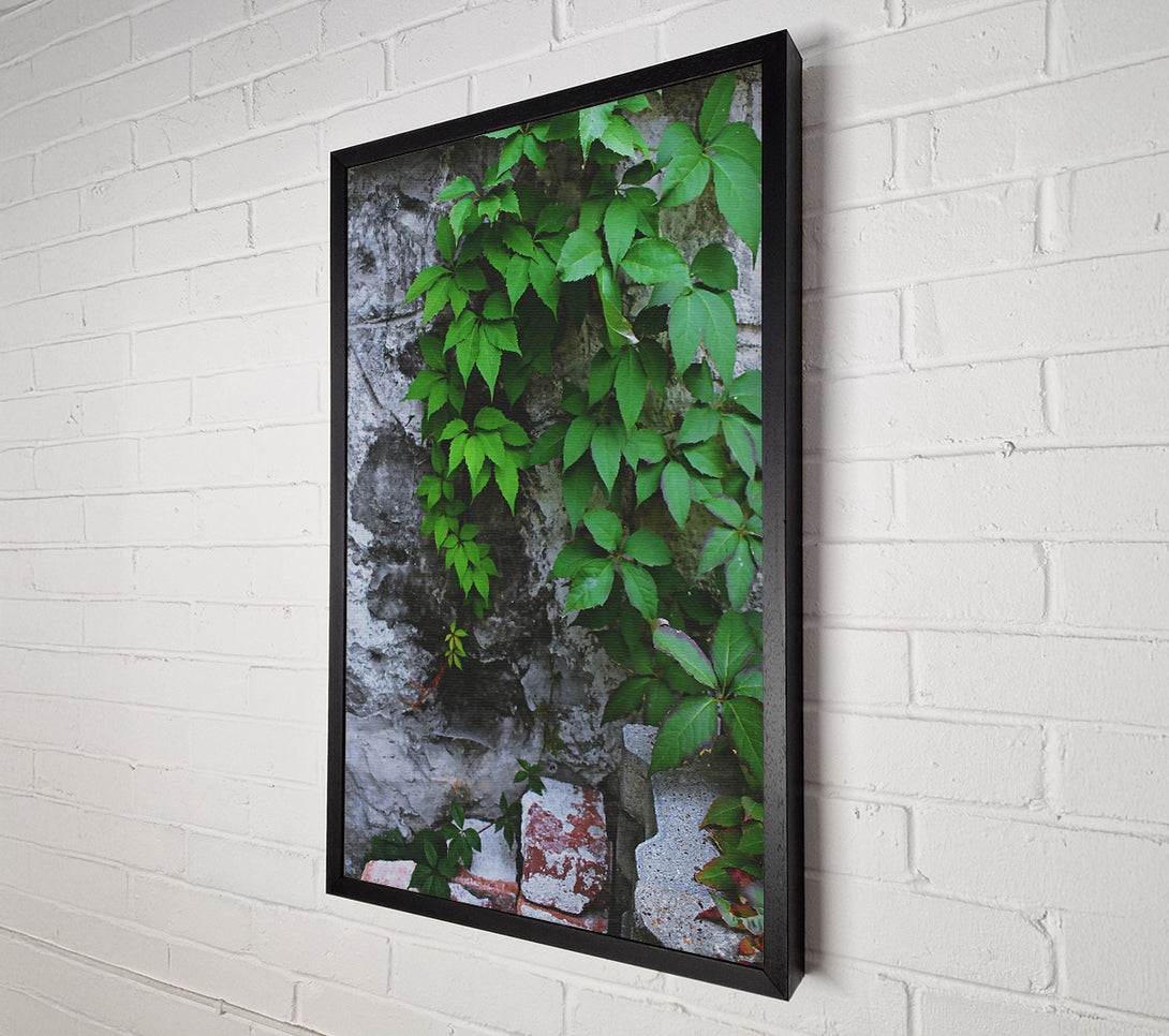  A Canvas Print of Green Wall Growth Canvas Wall Art