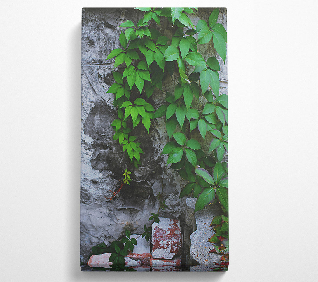  A Canvas Print of Green Wall Growth Canvas Wall Art