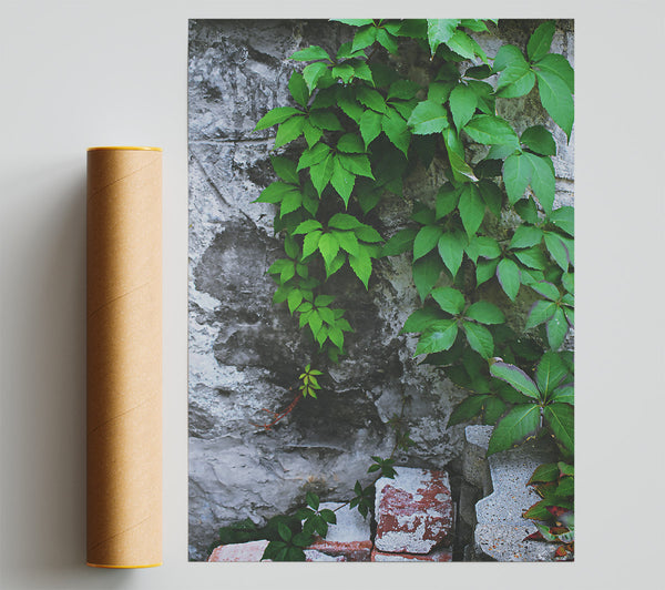 Green Wall Growth Giclee Print