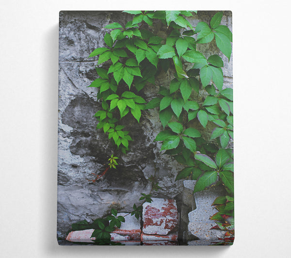  A Canvas Print of Green Wall Growth Canvas Wall Art