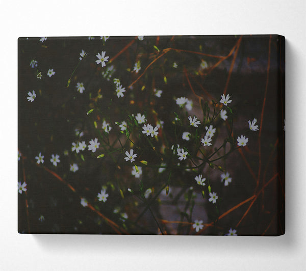  A Canvas Print of Dark Green Blooms Canvas Print