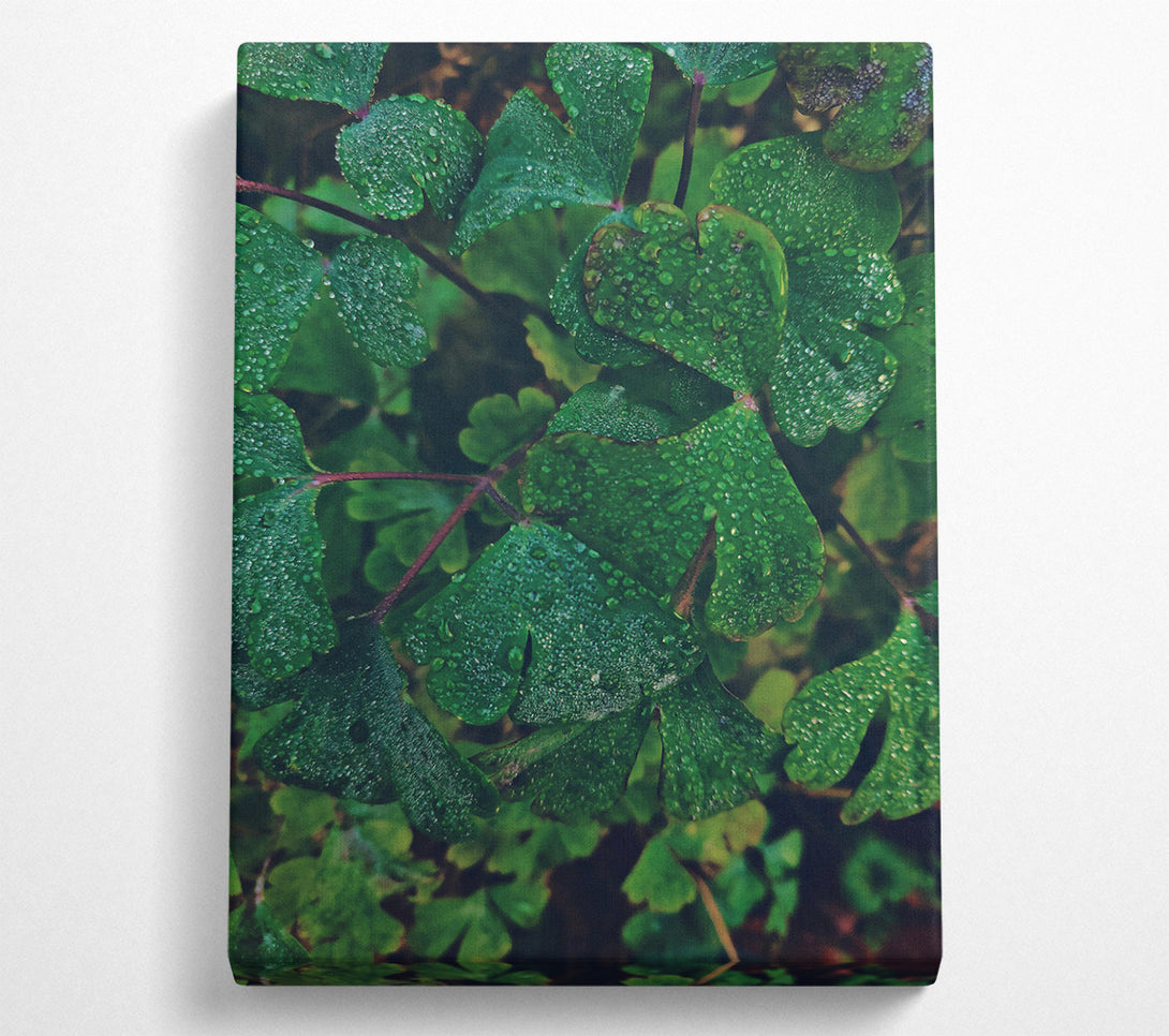  A Canvas Print of Emerald Dew Drops Canvas Wall Art