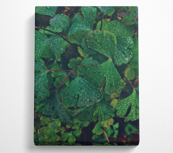  A Canvas Print of Emerald Dew Drops Canvas Wall Art