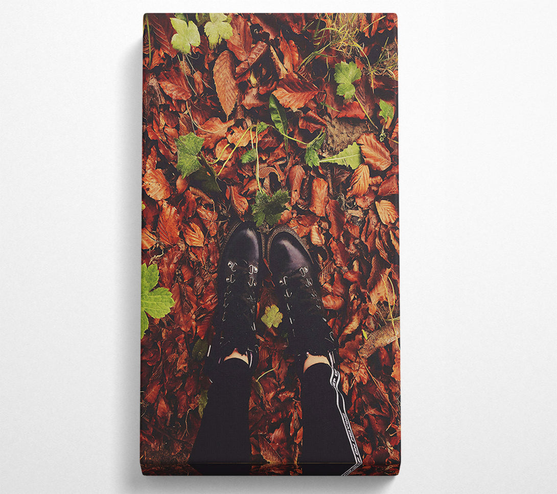  A Canvas Print of Autumn'S Brown Embrace Canvas Art