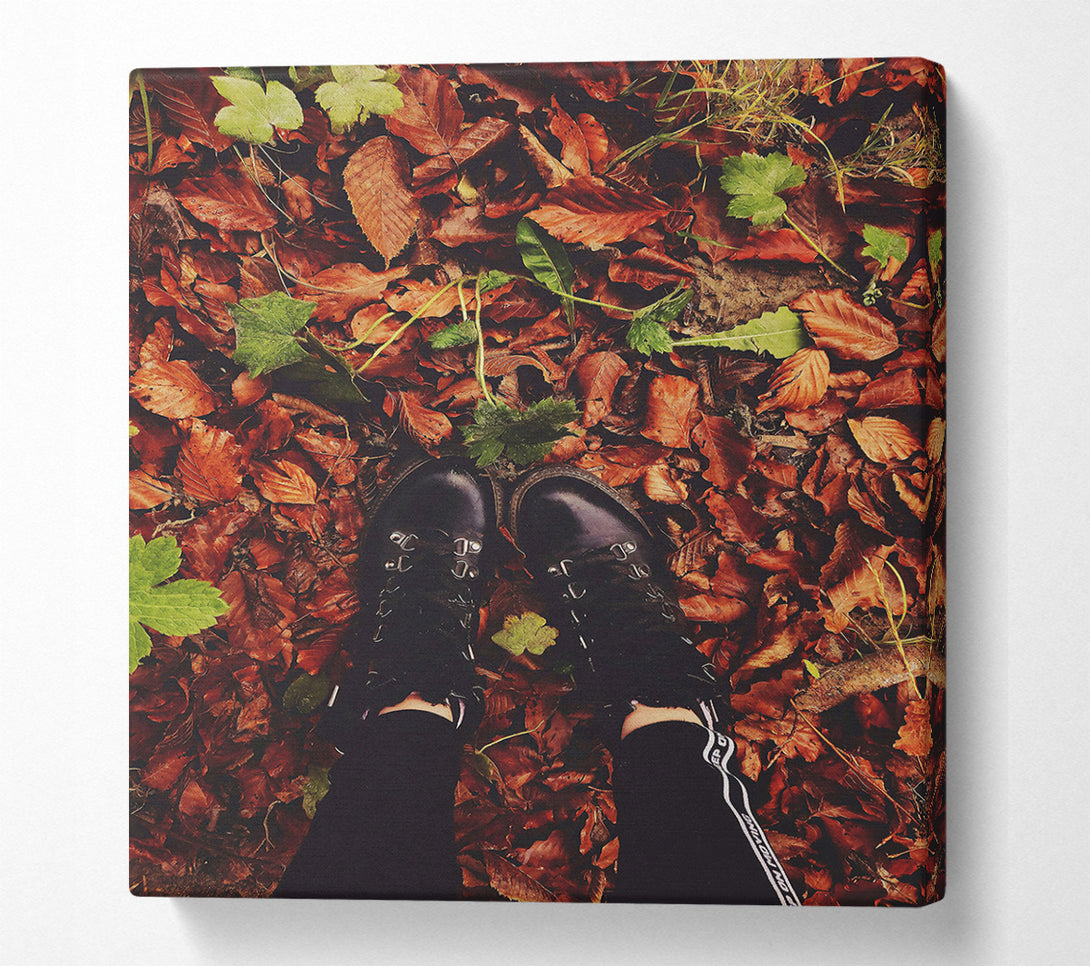  A Canvas Print of Autumn'S Brown Embrace Canvas Art