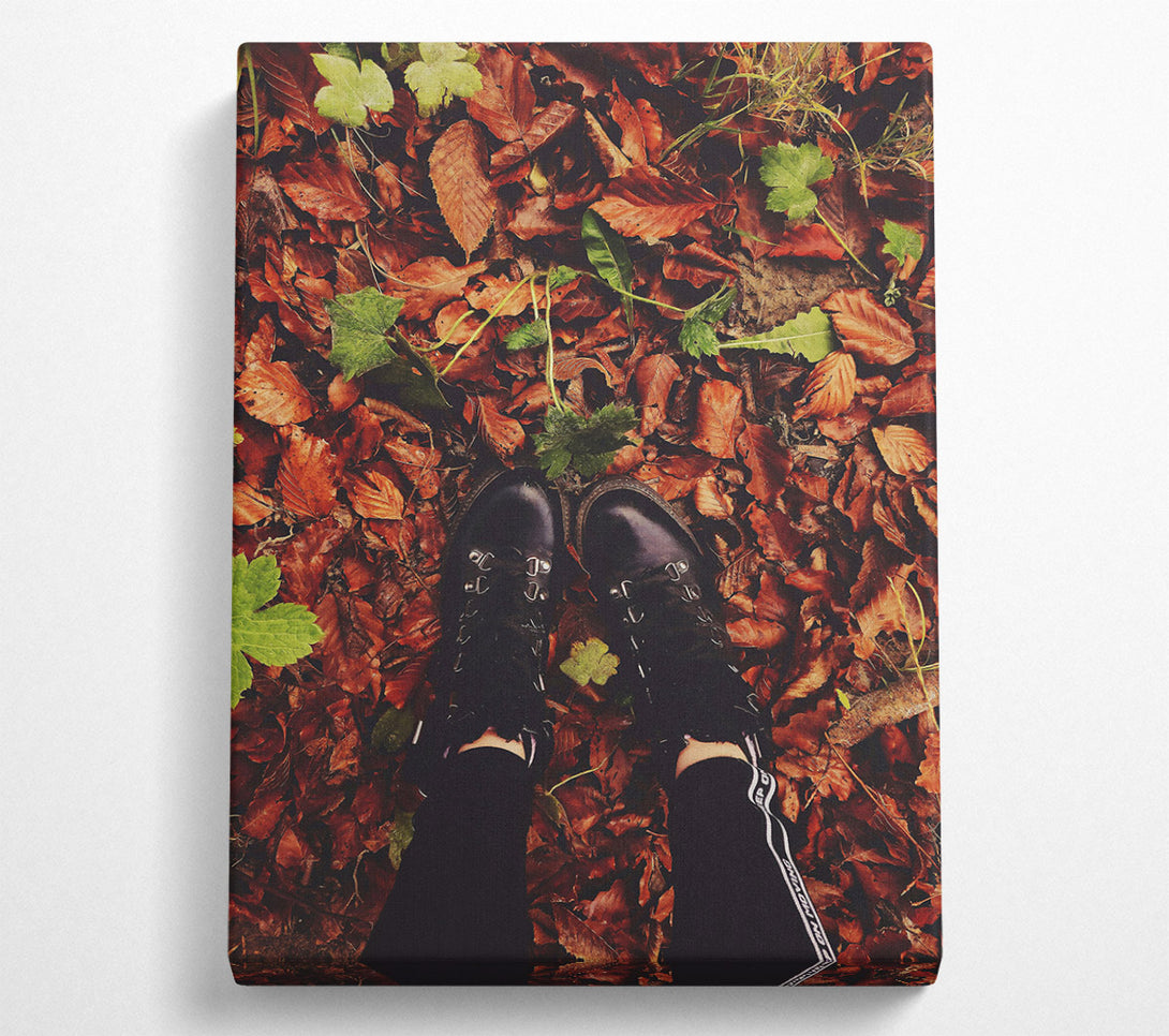  A Canvas Print of Autumn'S Brown Embrace Canvas Art