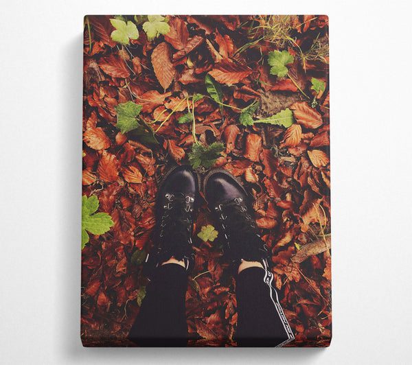  A Canvas Print of Autumn'S Brown Embrace Canvas Art