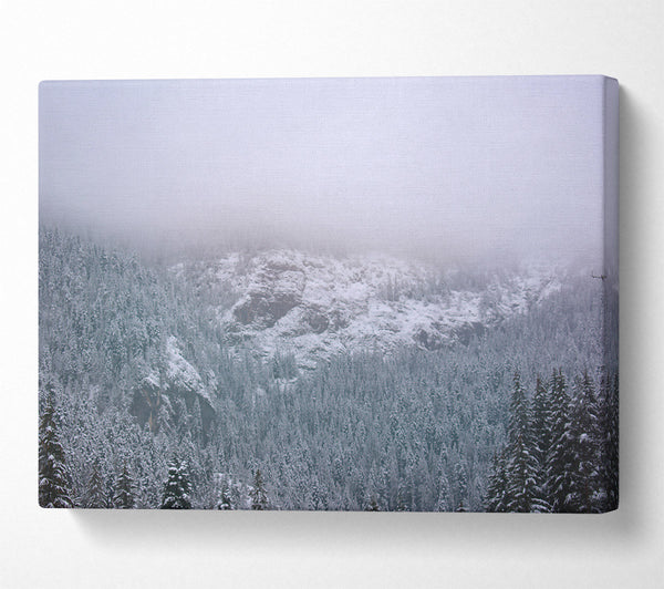  A Canvas Print of White Foggy Forest Canvas Wall Art