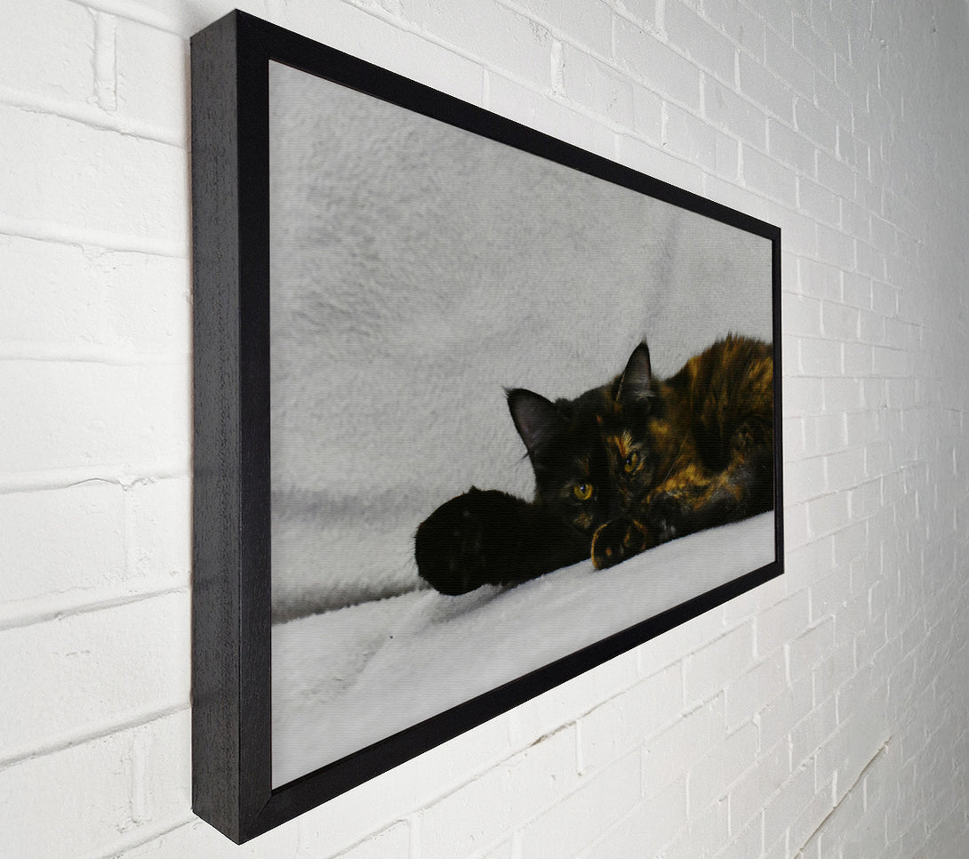  A Canvas Print of Black And Orange Rest Canvas Art