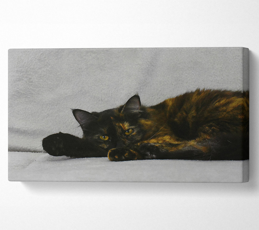  A Canvas Print of Black And Orange Rest Canvas Art