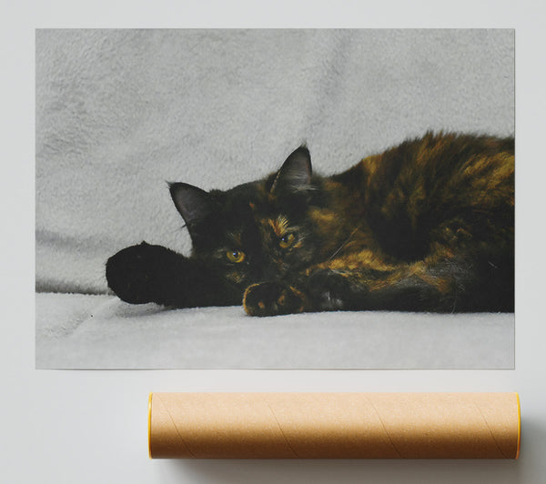 Black And Orange Rest Print