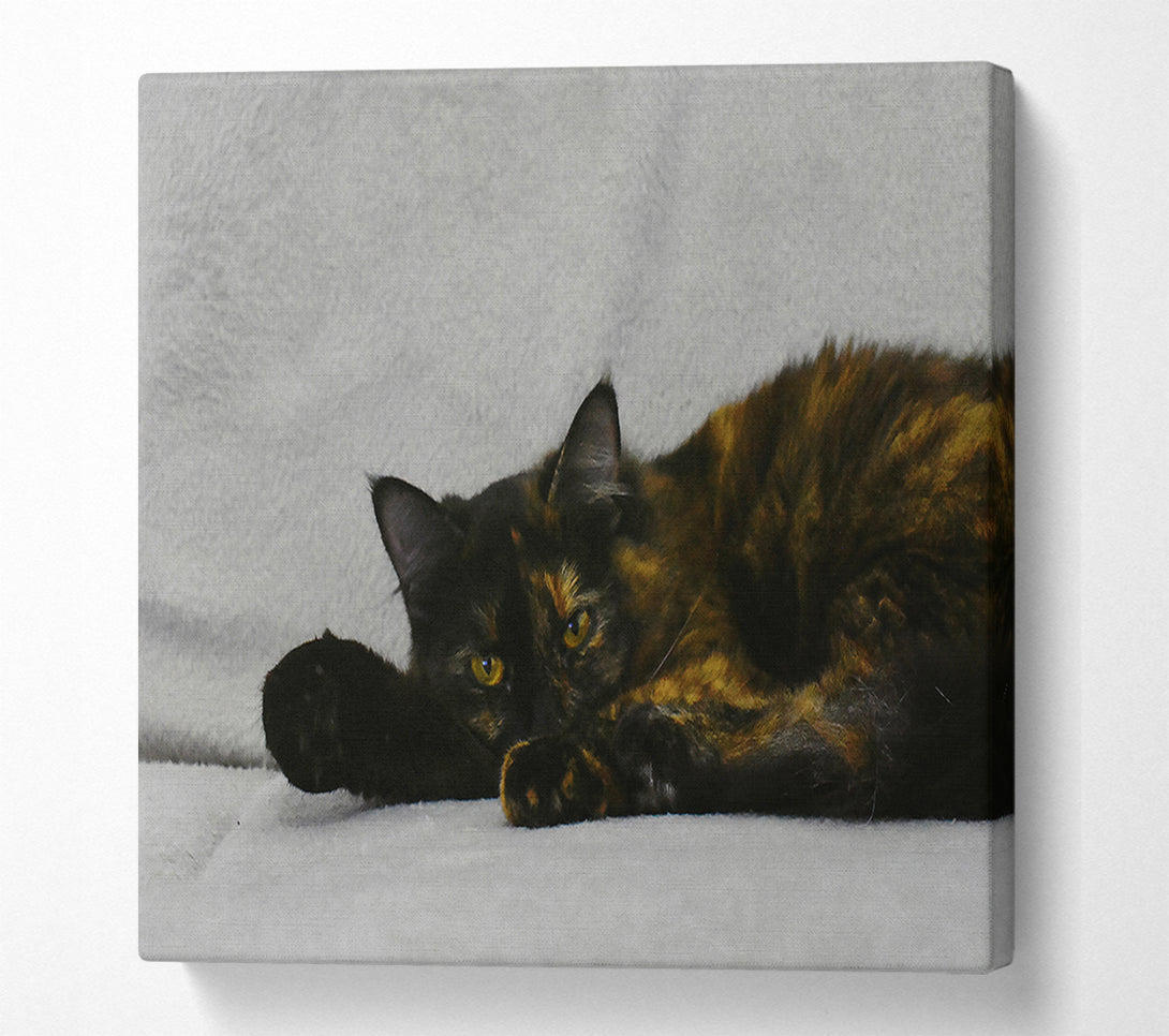  A Canvas Print of Black And Orange Rest Canvas Art